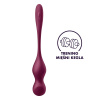Вагинальные шарики с вибрацией Satisfyer Love Birds Vary Connect App || Вагінальні кульки з вібрацією Satisfyer Love Birds Vary Connect App